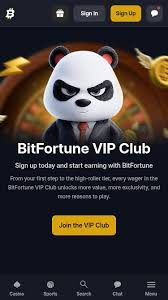 Discover the Best Live Tables at Bitfortune Casino -1261186449