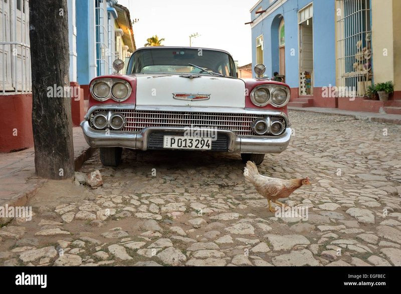 Discover chicken road