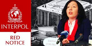Understanding Red Notice Removal Lawyers Your Guide to Navigating International Justice