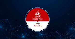 Understanding the Process of Interpol Red Notice Removal 1330086754