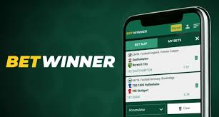Exploring BetWinner Sportsbook A Comprehensive Guide for Bettors Exploring BetWinner Sportsbook A Comprehensive Guide for Bettors